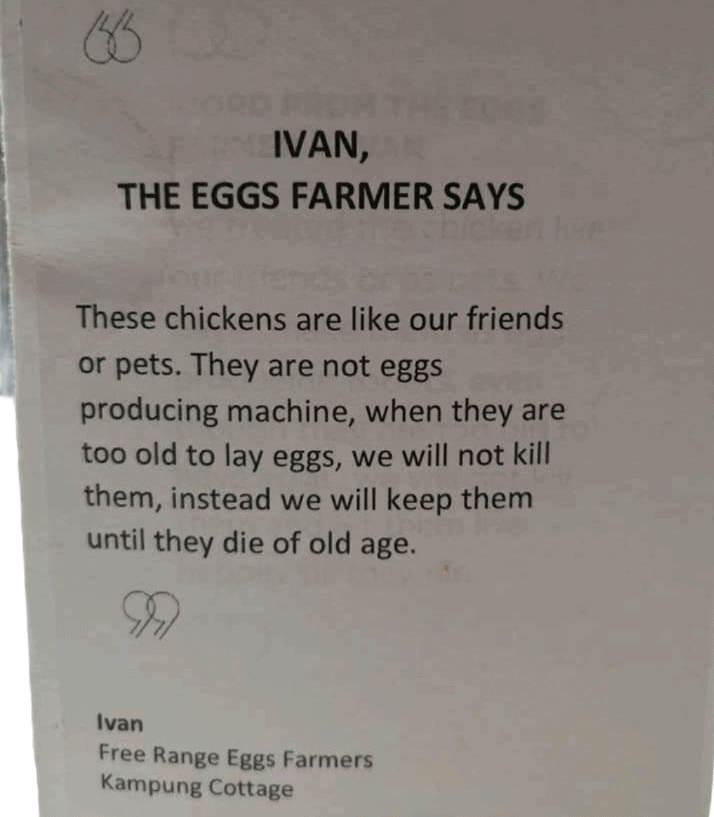 12pc Kampung Harvest Eggs (Grade A) - Image 2