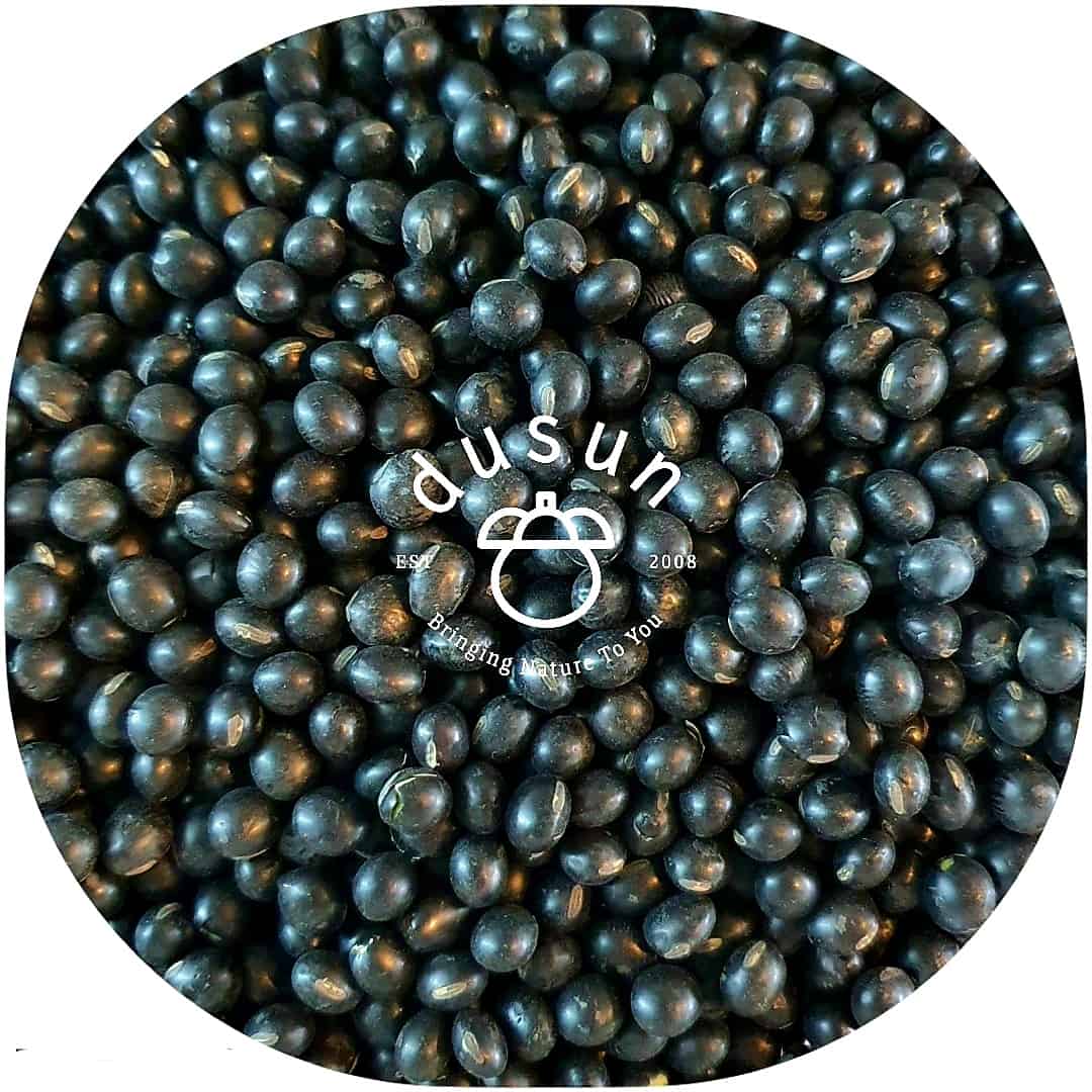 *Inner Mongolia* Organic Green Kernel Black Bean (100gm)
