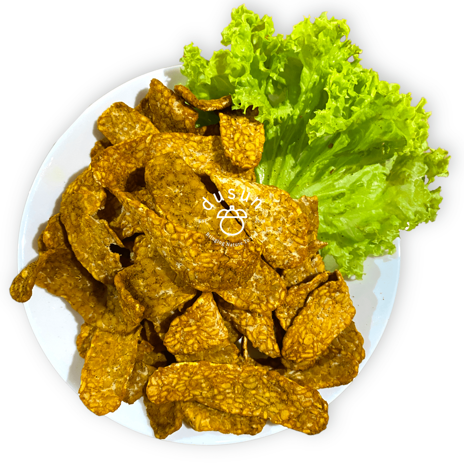 Tempeh Fries *Vegan*