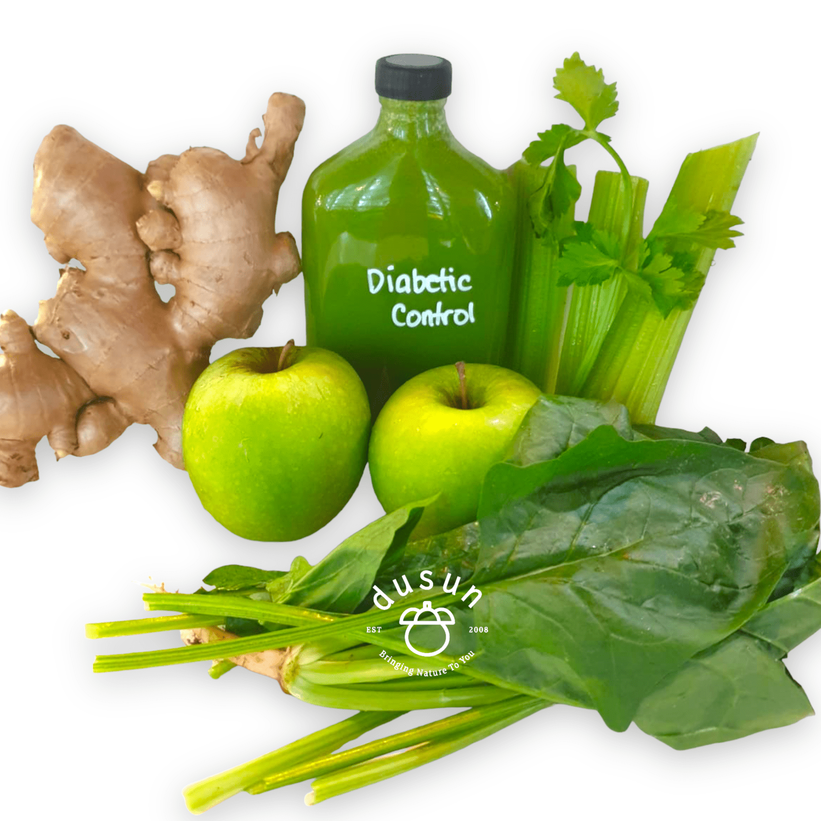 Diabetic Control (350ml) - Image 2