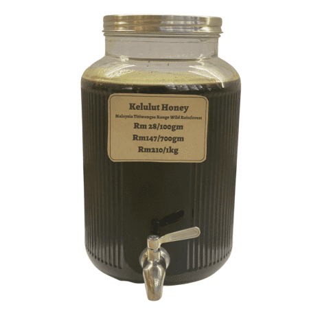 Kelulut Trigona Honey