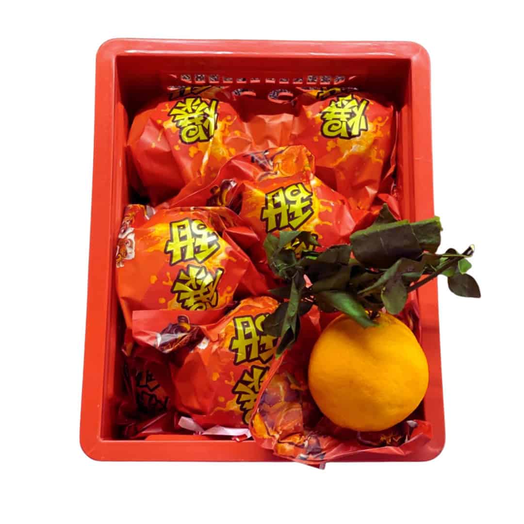 CNY PapaGan 耙耙柑 (2kg | L Size) : 12pc