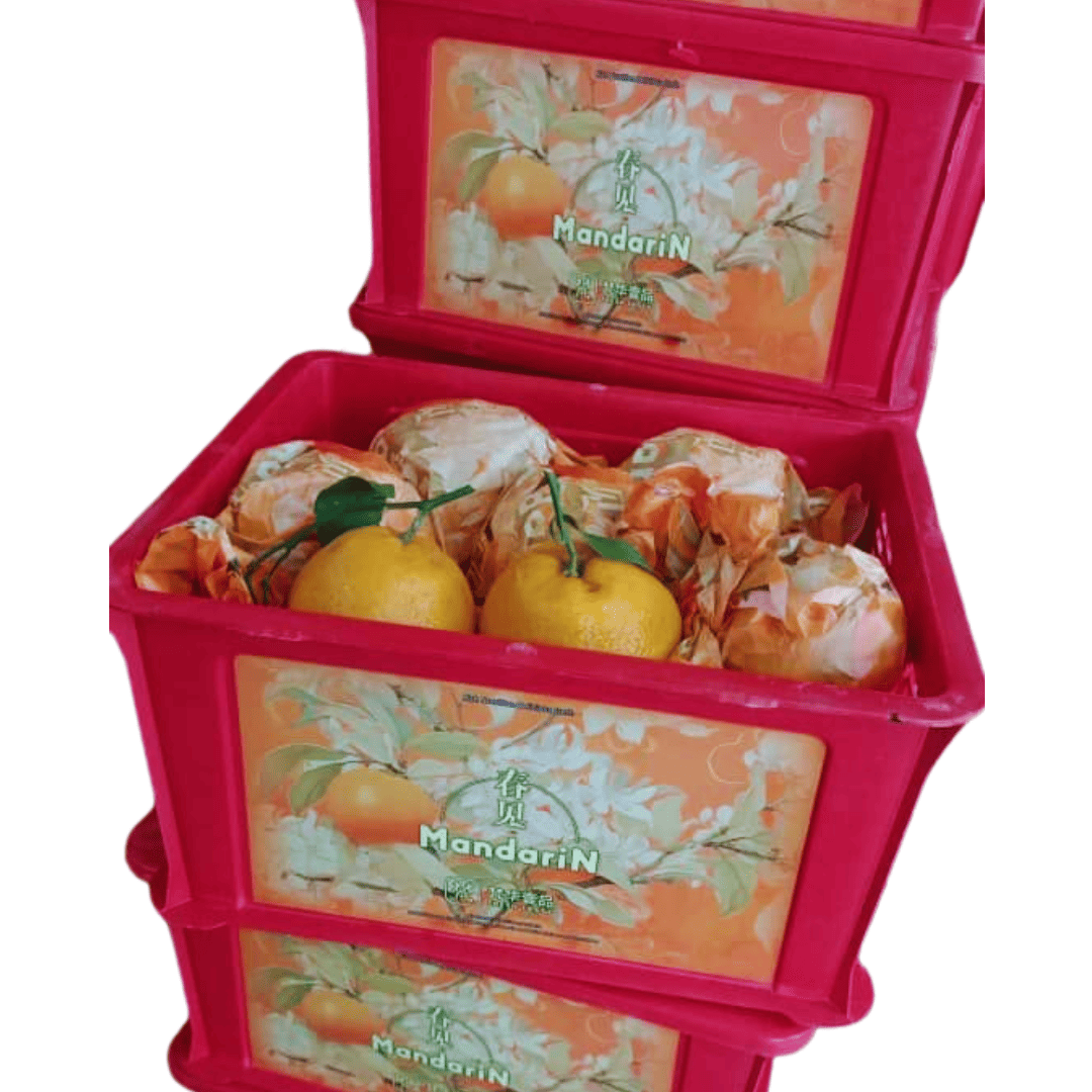CNY PapaGan 耙耙柑 (2kg | L Size) : 12pc - Image 3