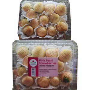 *Malaysia* White Pearl Strawberry